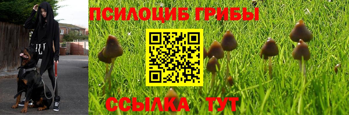 Галлюциногенные грибы Cubensis  Псилоцибиновые грибы Psilocybine cubensis  Лосино-Петровский  где купить наркотик  Вход с VPN 
