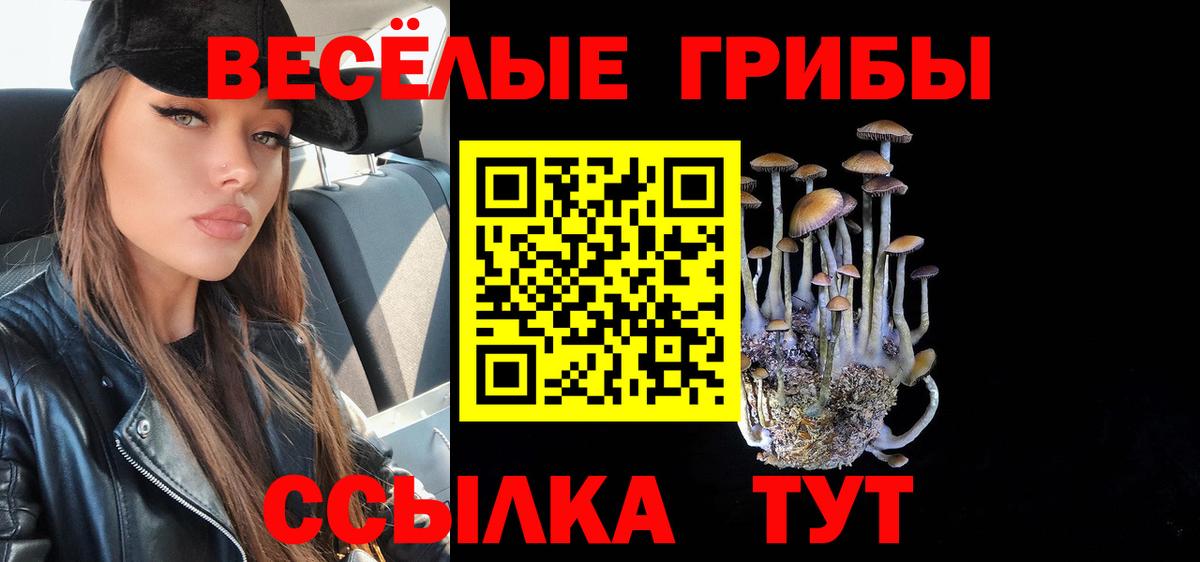 Галлюциногенные грибы MAGIC MUSHROOMS Лосино-Петровский